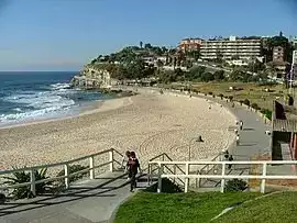 Bronte 2024 1 cleaning in Bronte